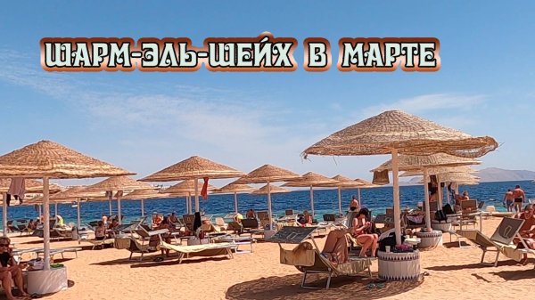 Отличный отель DOMINA CORAL BAY OASIS 5 Шарм –Эль-Шейх Египет