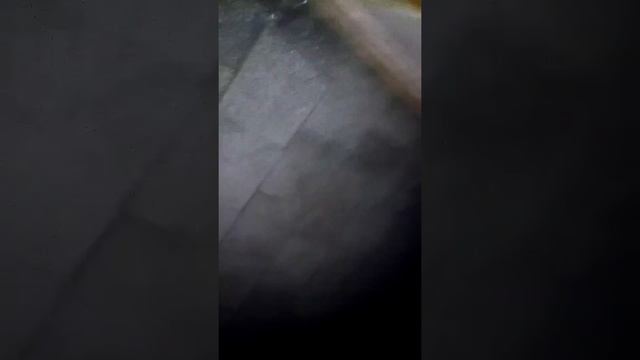 СЛУЧАЙ В ТУАЛЕТЕ смотреть онлайн