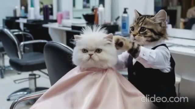 А. ЗАЦЕПИН смотреть онлайн