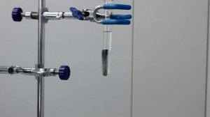 Сатурново дерево. Реакция нитрата свинца (II) с цинком.