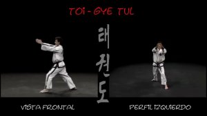 Тэ Ге видео в тхэквондо туль на красный пояс, 2 гып,  хьенг  37 движений, комплекс Toi Gye
