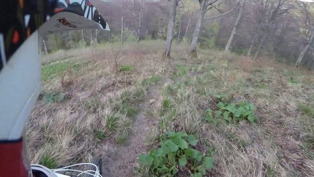 Пилипец. Спуск к Шипоту с хребта.