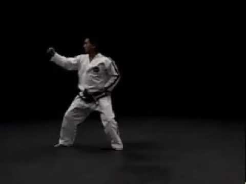 Тэ Ге видео тхэквондо туль красный пояс 2 гып, хьенг 37 движений комплекс Toi Gye вид сзади спрот смотреть онлайн