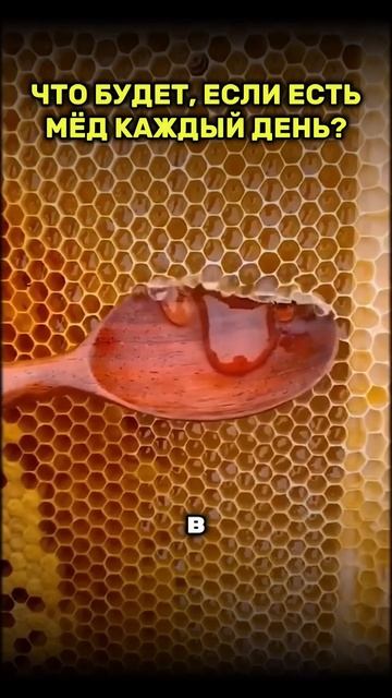 Что будет, если есть мед каждый день?