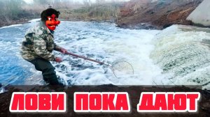 Рыба идет на нерест, а мы на рыбалку! Рыбалка весной в половодье