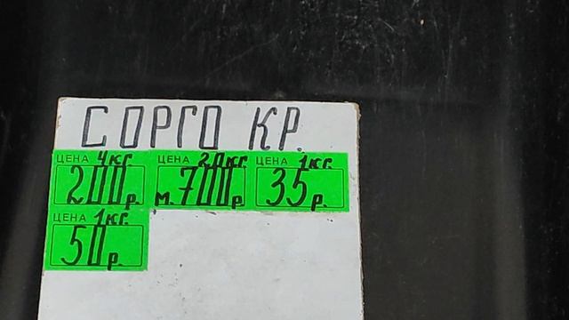 27.04.2025г ст. Бронницы Магазин Зерновых 👍 смотреть онлайн