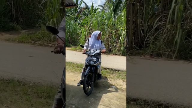 Proyek Negosiasi SMA 1 SEI KANAN смотреть онлайн