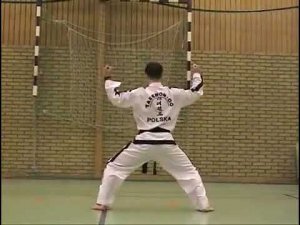 Тэ Ге видео в тхэквондо туль на красный пояс, 2 гып,  хьенг  37 движений, комплекс Toi Gye Tul спорт