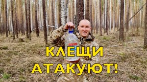 Посылка АЛЁНЕ ЦВЕТАЕВОЙ | Берёзовый сок | Первые заказы | Клещи атакуют