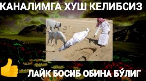 КАБР АЗОБИ ГУ́РКОВ ХИКОЯСИ ТАСИРЛИ БУ́ЮЛГАН ВОКИЯА ЙИҐЛАТАДИГАН ТУ́БЛАМ ХИКОЯАЛАР