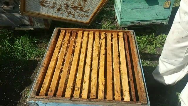 Подготовка воспитательницы.Часть 2. смотреть онлайн