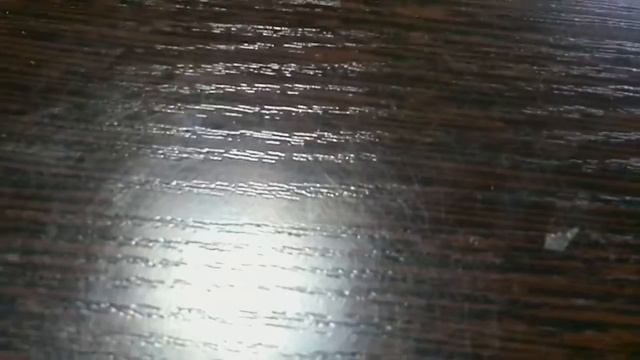 Все вещи моих собак