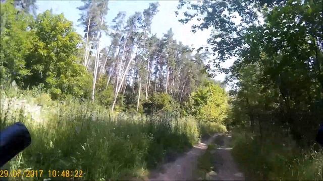 Рождествено Гаврилова поляна вело смотреть онлайн