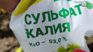 ЖЕЛТЫХ ПЛЕЧИКОВ и БЕЛОЙ СЕРЕДИНЫ на томатах НЕ БУДЕТ, если воспользуетесь моим советом.