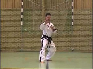 Вон Хё туль видео в тхэквондо зелено-синий пояс, 5 гып хьенг 28 движений, комплекс Won Hyo Tul спорт