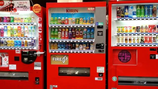 Marri tv 25 фактов о японе