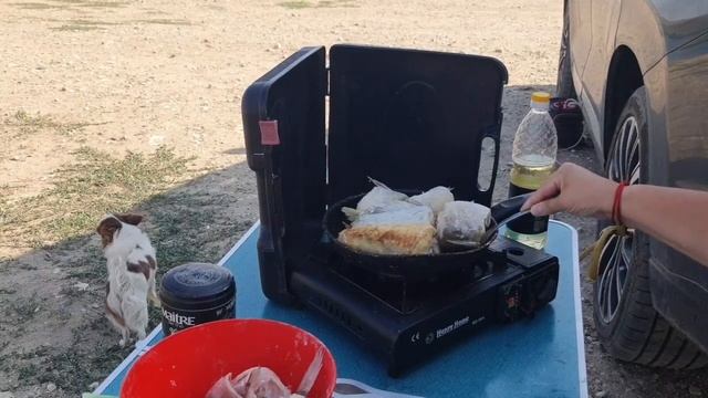 Екатеринбург-Абхазия 17.07.2024г. готовим и кушаем свежепойманый судачёк смотреть онлайн