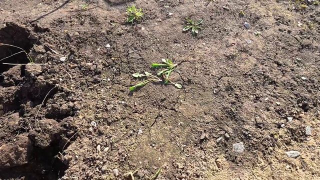 Самый лучший отдых. Чудеса случаются. смотреть онлайн