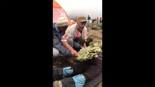 Дали жару на Килиманджаро смотреть онлайн