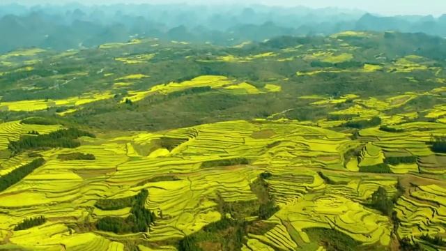 Широкий взгляд. Сергей Чекалин