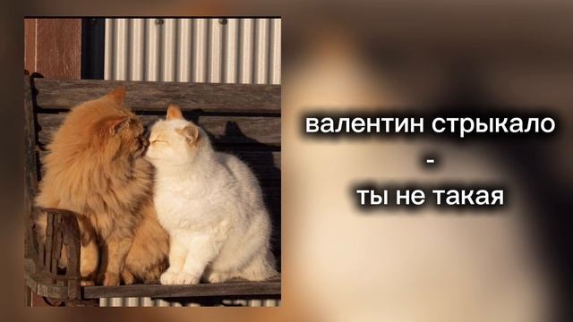 плейлист для прогулок под летним снегом (тополиным пухом) :з