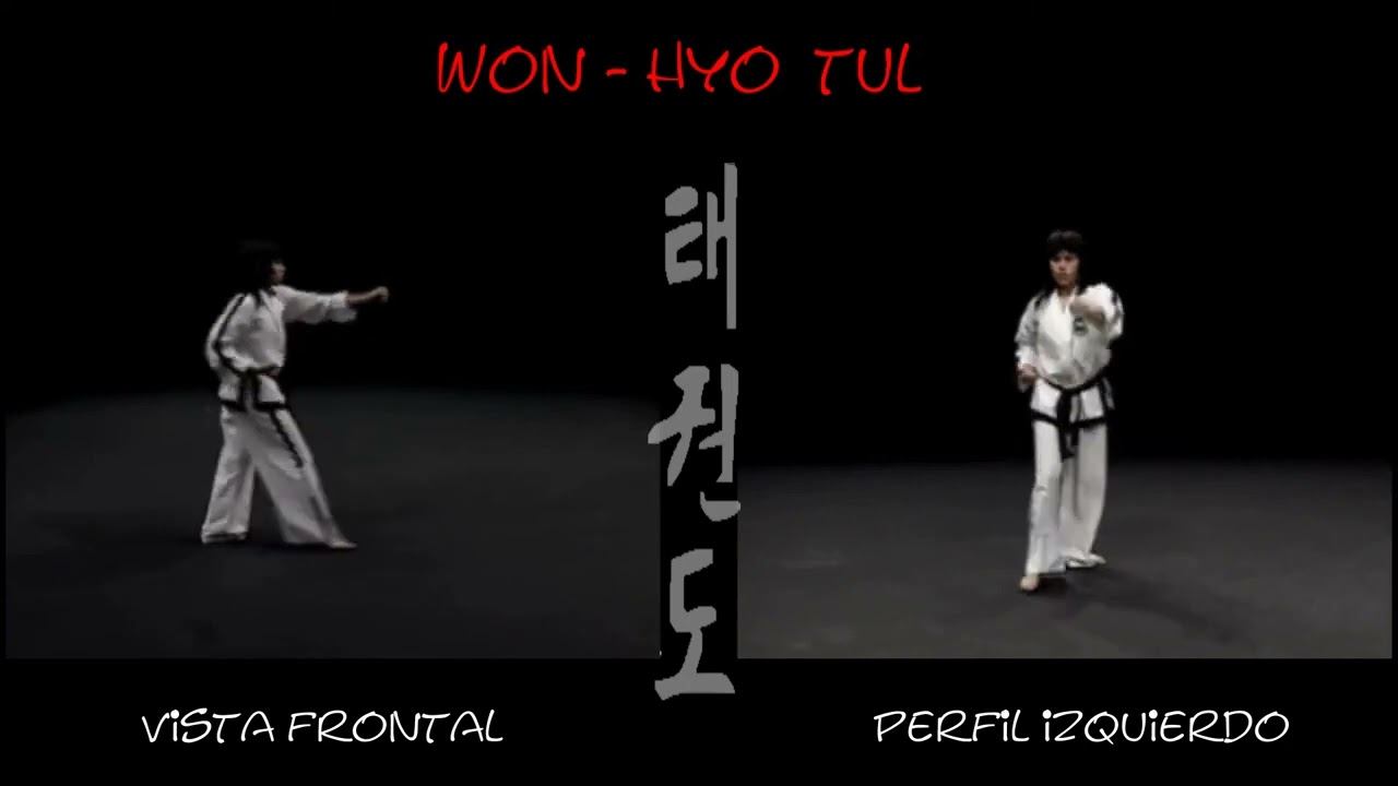Вон Хё туль видео в тхэквондо на зелено-синий пояс, 5 гып, хьенг 28 движений, комплекс Won Hyo Tul смотреть онлайн