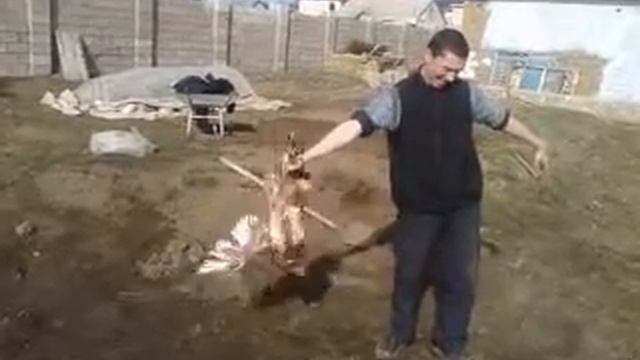 Как я 1 раз зарезал петуха смотреть онлайн