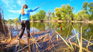 НАШЛА ПАЛКУ И ЗАКИНУЛА ПОД КАМЫШ,НАТАСКАЛА КАРАСЕЙ НА ДЕДОВСКУЮ СНАСТЬ! РЫБАЛКА НА ПАЛКУ!