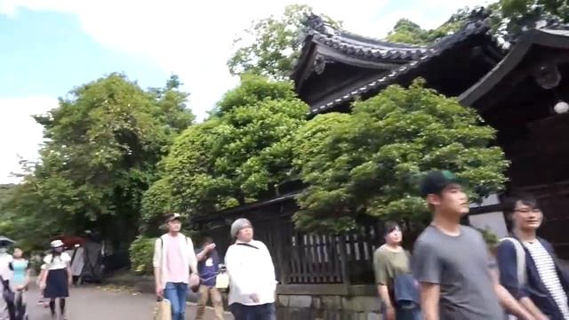KYOTO vlog! Kimono rental--Kinkakuji--Asaka shrine--Shinto wedding! смотреть онлайн