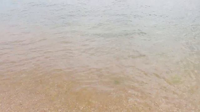 1 сентября 2023 г.