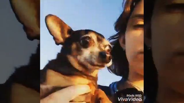 Вечер должен заканчиваться на отлично смотреть онлайн