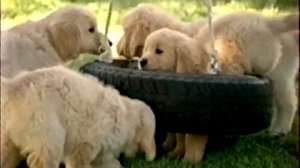 Анонс и рекламный блок (Первый канал, 01.03.2009) (2)