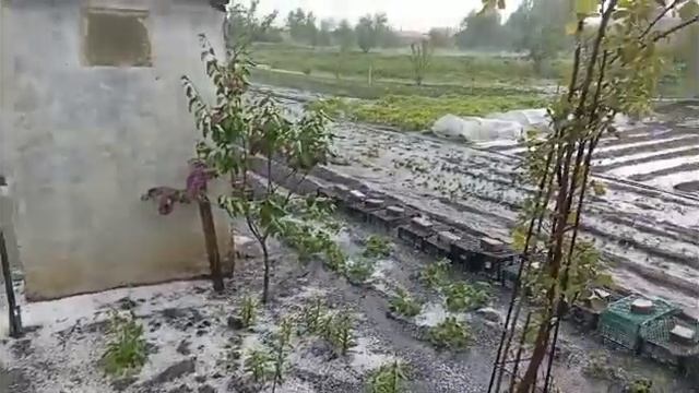 Село Этока Град смотреть онлайн