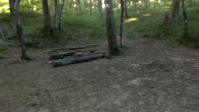 Пшадский приют . Прогулка по лесу