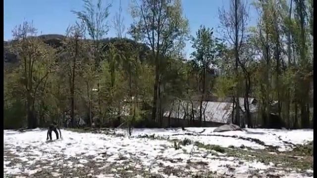 Арсланбоп смотреть онлайн