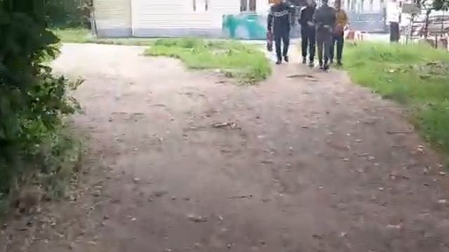 мишуля дома