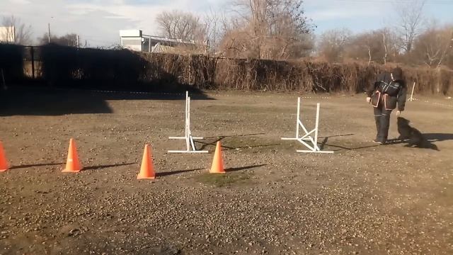занятия со щенком 3 смотреть онлайн