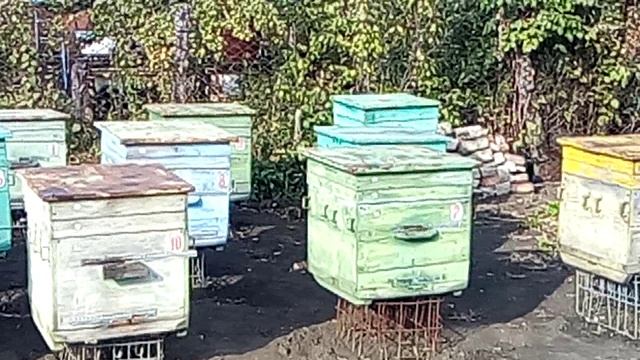 VID_20171008_145322 смотреть онлайн