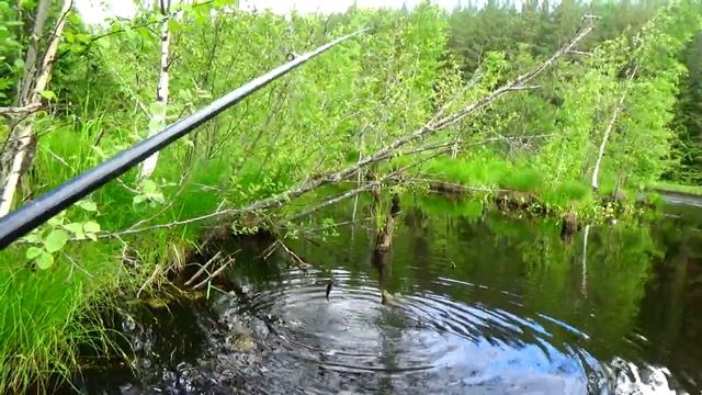 ЛЕТНЯЯ РЫБАЛКА НА БОКОВОЙ КИВОК. Ловля окуня с лодки..mp4 смотреть онлайн