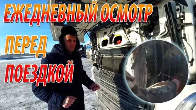 Ежедневный осмотр. Volvo & Scania. Реф & шторы.#delko#volvo #scania