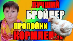 Самый ЛУЧШИЙ бройлер. Содержание, пропойки и кормление цыплят.