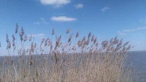 VID_20250427_134736.mp4