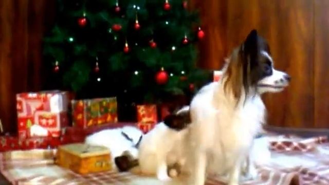 Под елочкой смотреть онлайн