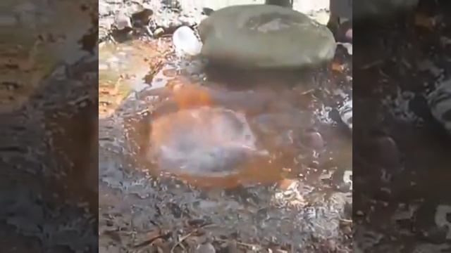 Мынау недеге гажайып газ жане су