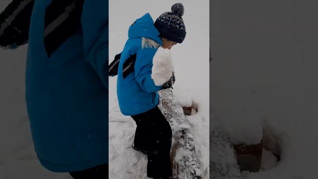 Тестирование снежков смотреть онлайн