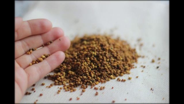 дикий мед фильм 2015