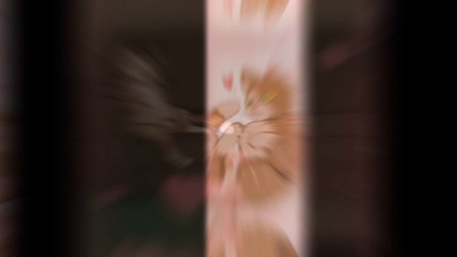 Мозги)... Ой Гизмо...