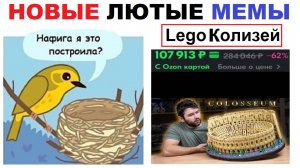 Лютые шортсы. Птица и LEGO Колизей за 100 000 рублей