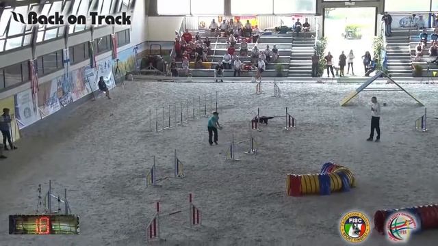 4 2018 World Agility Championship снукер Повалищева