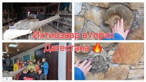 Где искать ихтиозавров и аммониты? Конечно в горах Дагестана! Палеонтологический музей
